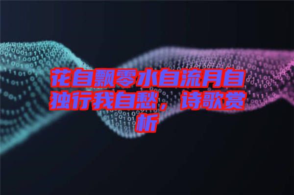 花自飄零水自流月自獨(dú)行我自愁，詩(shī)歌賞析