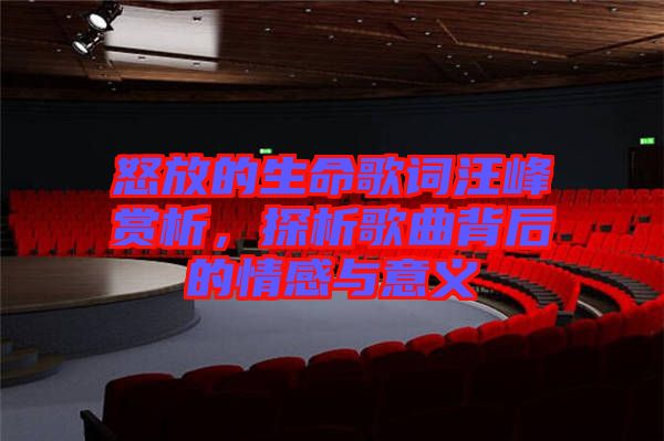 怒放的生命歌詞汪峰賞析，探析歌曲背后的情感與意義