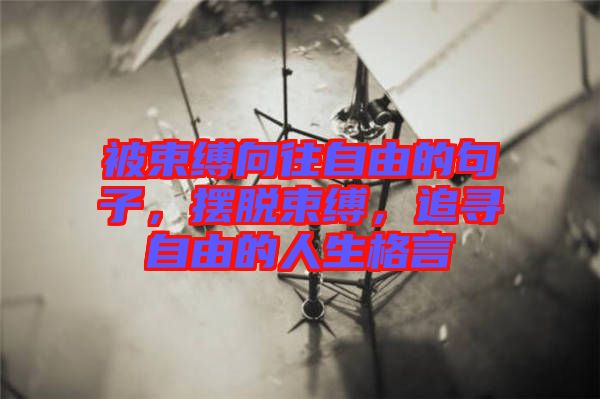 被束縛向往自由的句子，擺脫束縛，追尋自由的人生格言