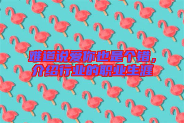 難道說愛你也是個錯，介紹行業(yè)的職業(yè)生涯