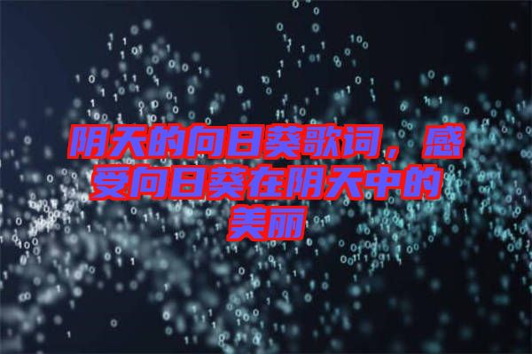 陰天的向日葵歌詞，感受向日葵在陰天中的美麗