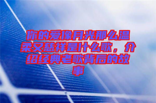 你的愛像月光那么溫柔又慈祥是什么歌，介紹經(jīng)典老歌背后的故事