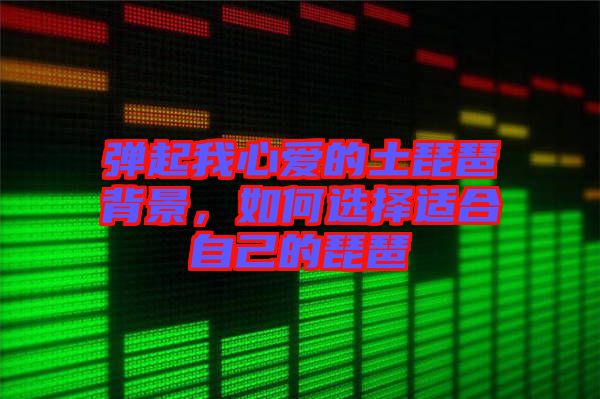 彈起我心愛的土琵琶背景，如何選擇適合自己的琵琶