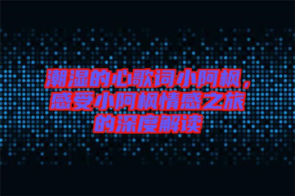 潮濕的心歌詞小阿楓，感受小阿楓情感之旅的深度解讀