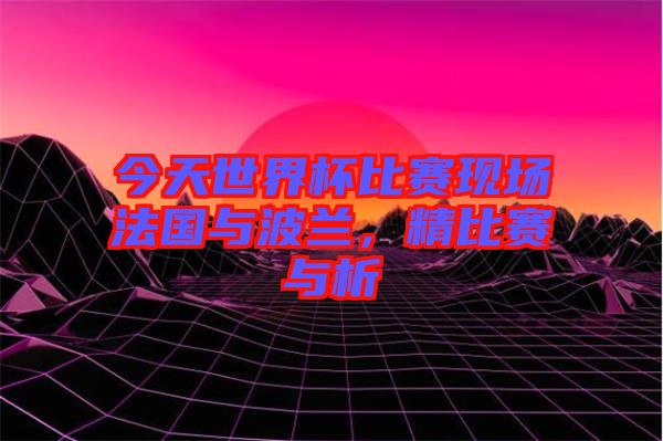今天世界杯比賽現(xiàn)場(chǎng)法國(guó)與波蘭，精比賽與析