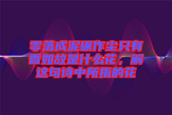 零落成泥碾作塵只有香如故是什么花，解這句詩中所指的花
