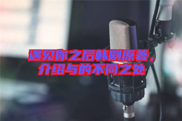 遇見你之后韓劇原著，介紹與的不同之處