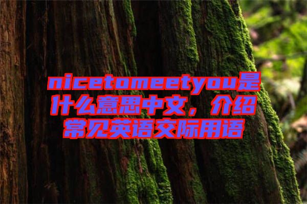 nicetomeetyou是什么意思中文，介紹常見英語交際用語