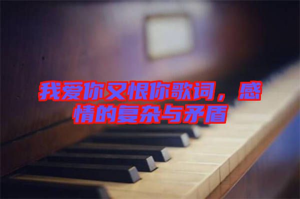 我愛你又恨你歌詞，感情的復(fù)雜與矛盾