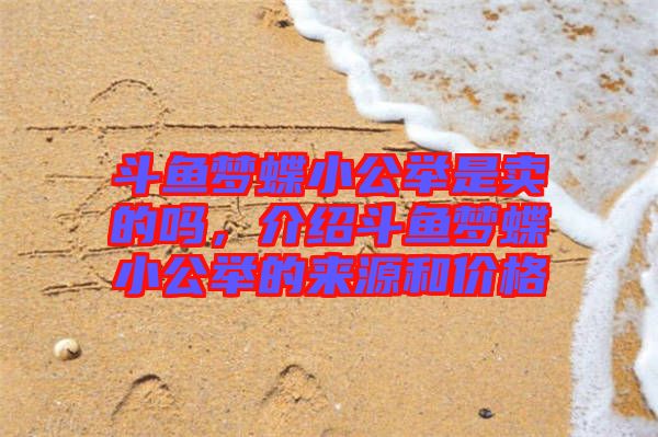 斗魚夢蝶小公舉是賣的嗎，介紹斗魚夢蝶小公舉的來源和價(jià)格
