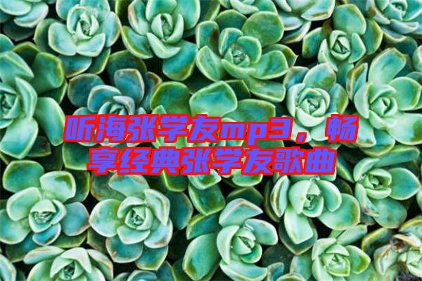 聽海張學(xué)友mp3，暢享經(jīng)典張學(xué)友歌曲