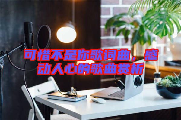 可惜不是你歌詞曲，感動(dòng)人心的歌曲賞析