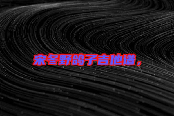 宋冬野鴿子吉他譜，