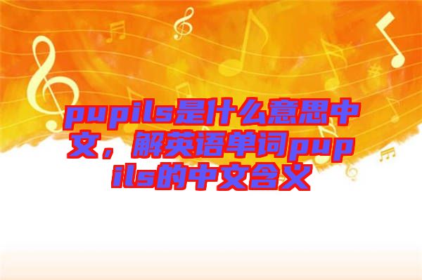 pupils是什么意思中文，解英語單詞pupils的中文含義