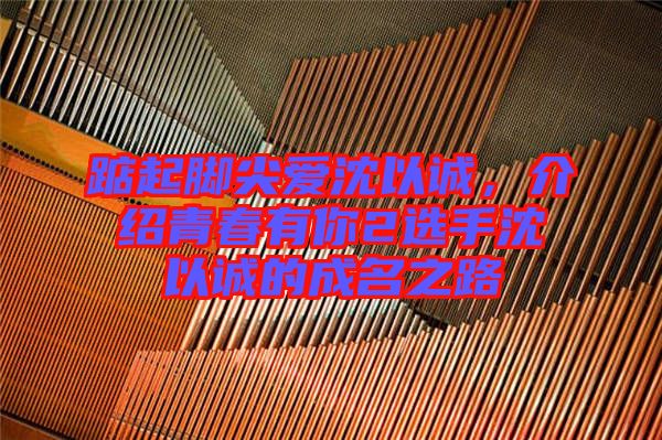 踮起腳尖愛沈以誠，介紹青春有你2選手沈以誠的成名之路
