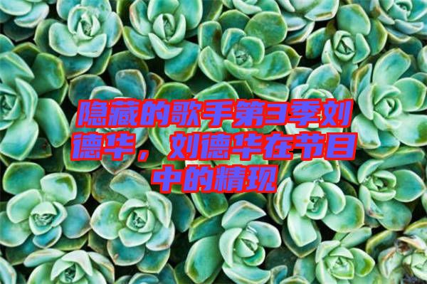 隱藏的歌手第3季劉德華，劉德華在節(jié)目中的精現(xiàn)