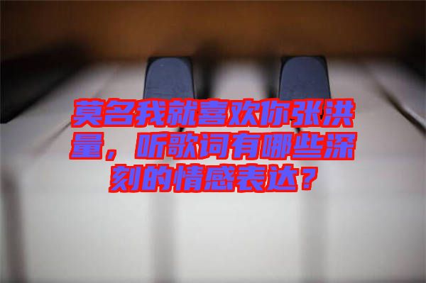 莫名我就喜歡你張洪量，聽歌詞有哪些深刻的情感表達(dá)？