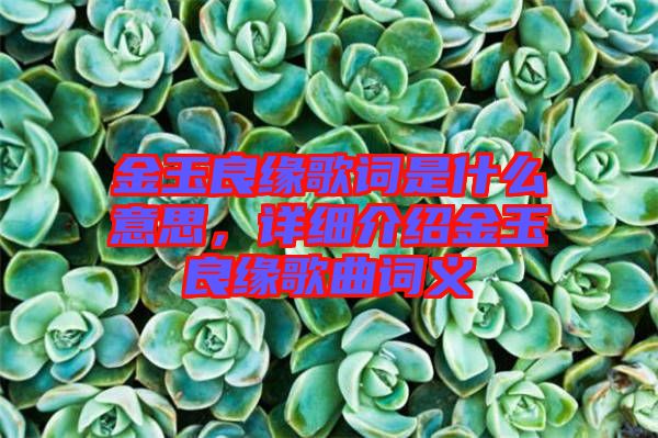 金玉良緣歌詞是什么意思，詳細介紹金玉良緣歌曲詞義