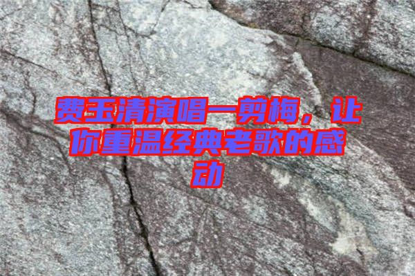 費玉清演唱一剪梅，讓你重溫經(jīng)典老歌的感動