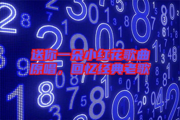 送你一朵小紅花歌曲原唱，回憶經(jīng)典老歌