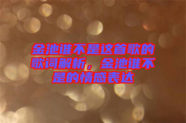 金池誰不是這首歌的歌詞解析，金池誰不是的情感表達(dá)