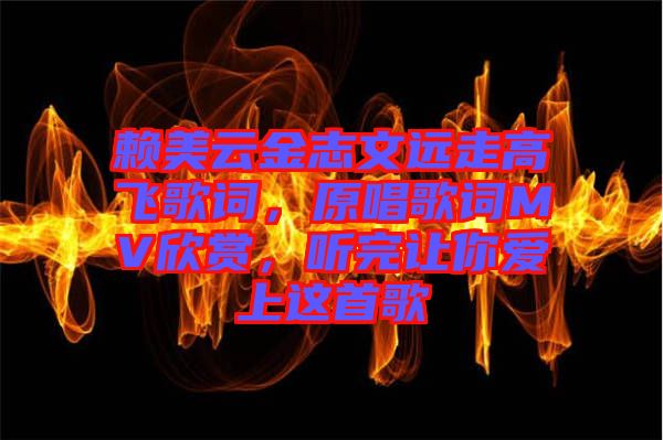 賴美云金志文遠(yuǎn)走高飛歌詞，原唱歌詞MV欣賞，聽(tīng)完讓你愛(ài)上這首歌