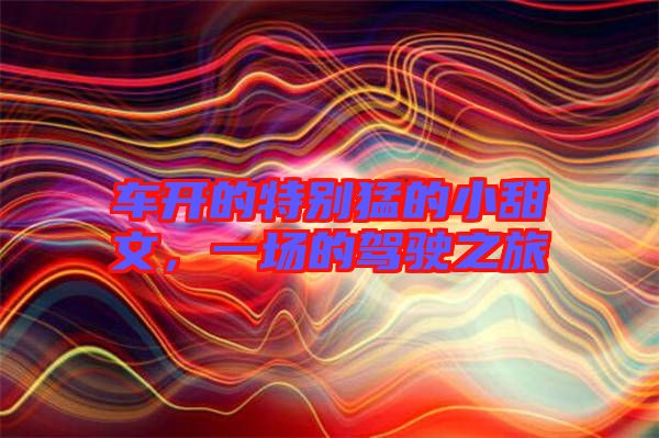 車開的特別猛的小甜文，一場的駕駛之旅