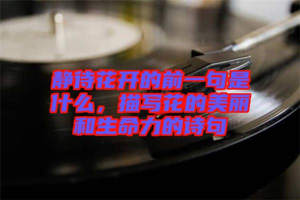 靜待花開的前一句是什么，描寫花的美麗和生命力的詩(shī)句