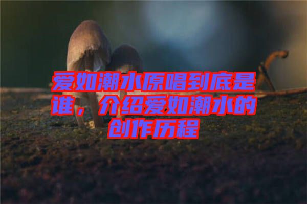 愛如潮水原唱到底是誰，介紹愛如潮水的創(chuàng)作歷程