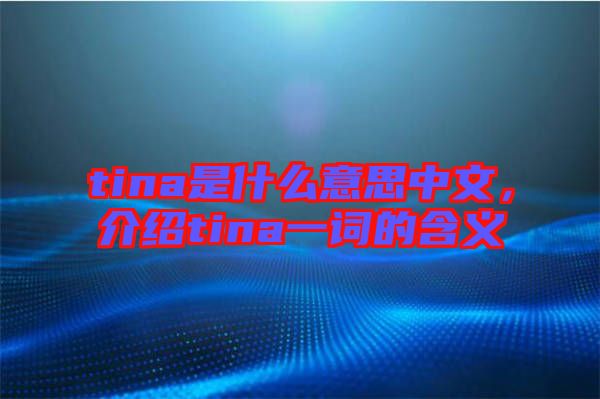 tina是什么意思中文，介紹tina一詞的含義