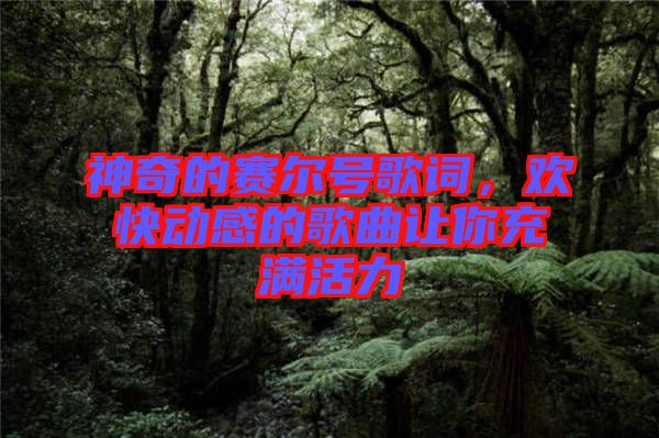 神奇的賽爾號(hào)歌詞，歡快動(dòng)感的歌曲讓你充滿活力