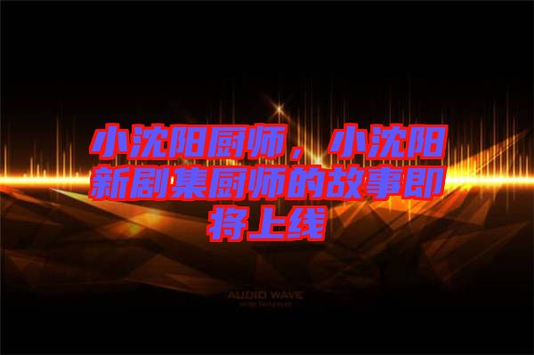 小沈陽廚師，小沈陽新劇集廚師的故事即將上線