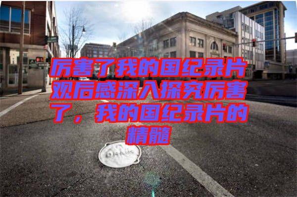 厲害了我的國紀錄片觀后感深入探究厲害了，我的國紀錄片的精髓