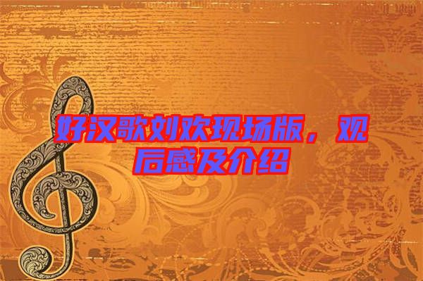 好漢歌劉歡現(xiàn)場版，觀后感及介紹