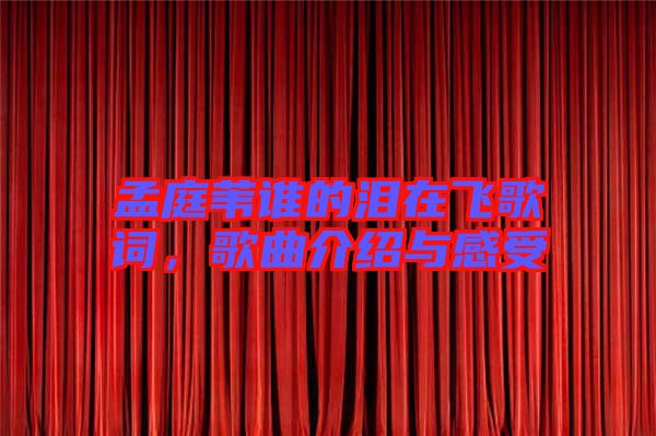 孟庭葦誰的淚在飛歌詞，歌曲介紹與感受