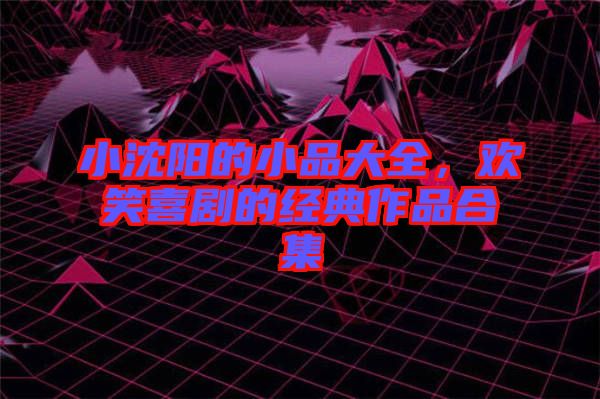 小沈陽(yáng)的小品大全，歡笑喜劇的經(jīng)典作品合集