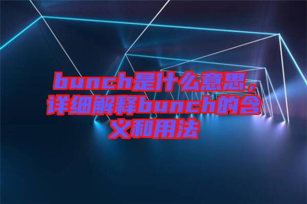 bunch是什么意思，詳細(xì)解釋bunch的含義和用法