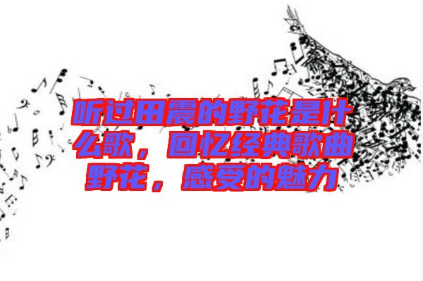聽過田震的野花是什么歌，回憶經(jīng)典歌曲野花，感受的魅力