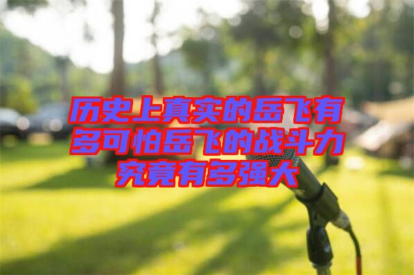 歷史上真實的岳飛有多可怕岳飛的戰(zhàn)斗力究竟有多強(qiáng)大