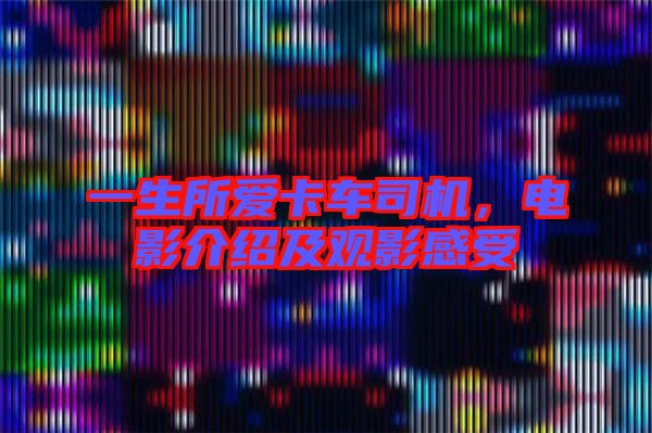 一生所愛(ài)卡車司機(jī)，電影介紹及觀影感受