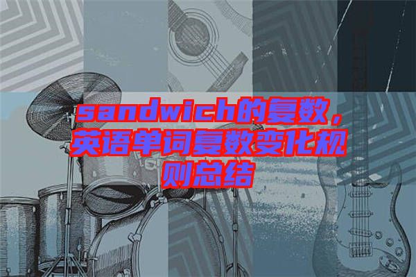 sandwich的復(fù)數(shù)，英語單詞復(fù)數(shù)變化規(guī)則總結(jié)