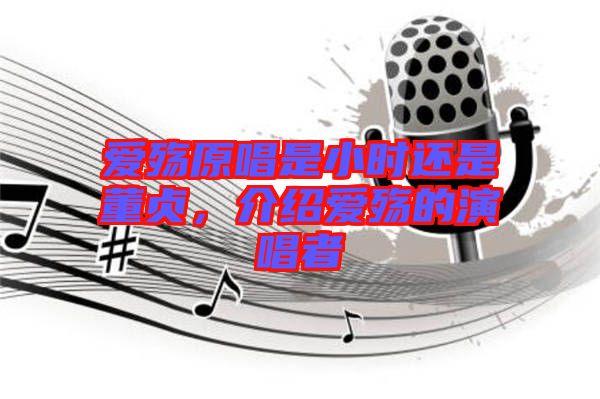 愛殤原唱是小時還是董貞，介紹愛殤的演唱者
