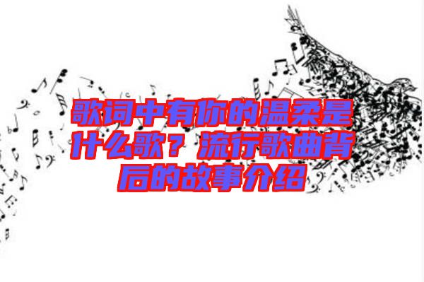 歌詞中有你的溫柔是什么歌？流行歌曲背后的故事介紹