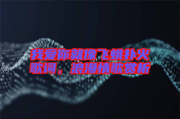 我愛你就像飛蛾撲火歌詞，浪漫情歌賞析