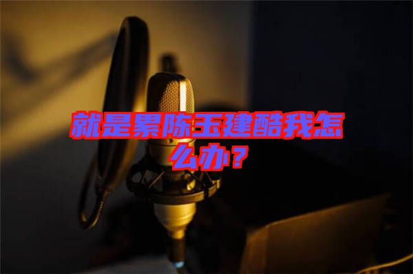 就是累陳玉建酷我怎么辦？