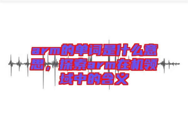 arm的單詞是什么意思，探索arm在機領(lǐng)域中的含義