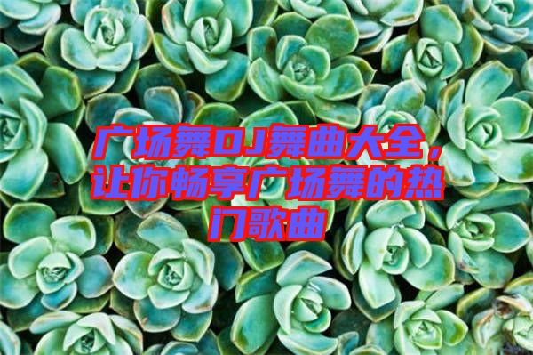 廣場(chǎng)舞DJ舞曲大全，讓你暢享廣場(chǎng)舞的熱門歌曲
