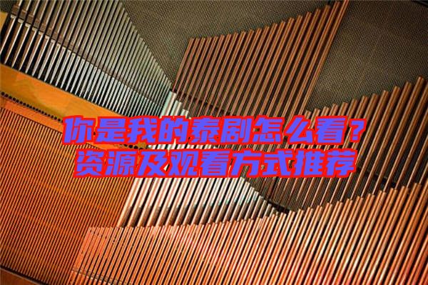 你是我的泰劇怎么看？資源及觀(guān)看方式推薦