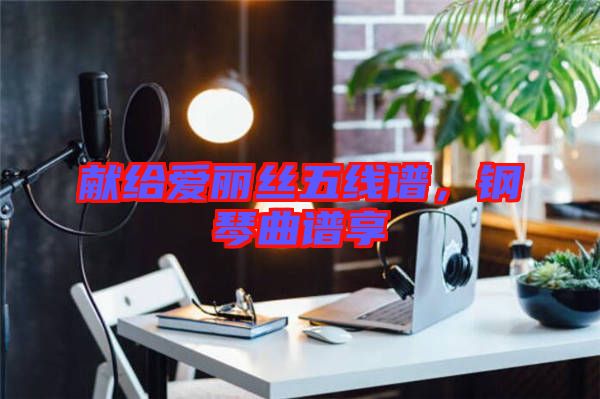 獻(xiàn)給愛(ài)麗絲五線譜，鋼琴曲譜享