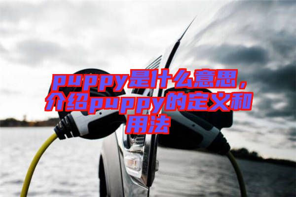 puppy是什么意思，介紹puppy的定義和用法